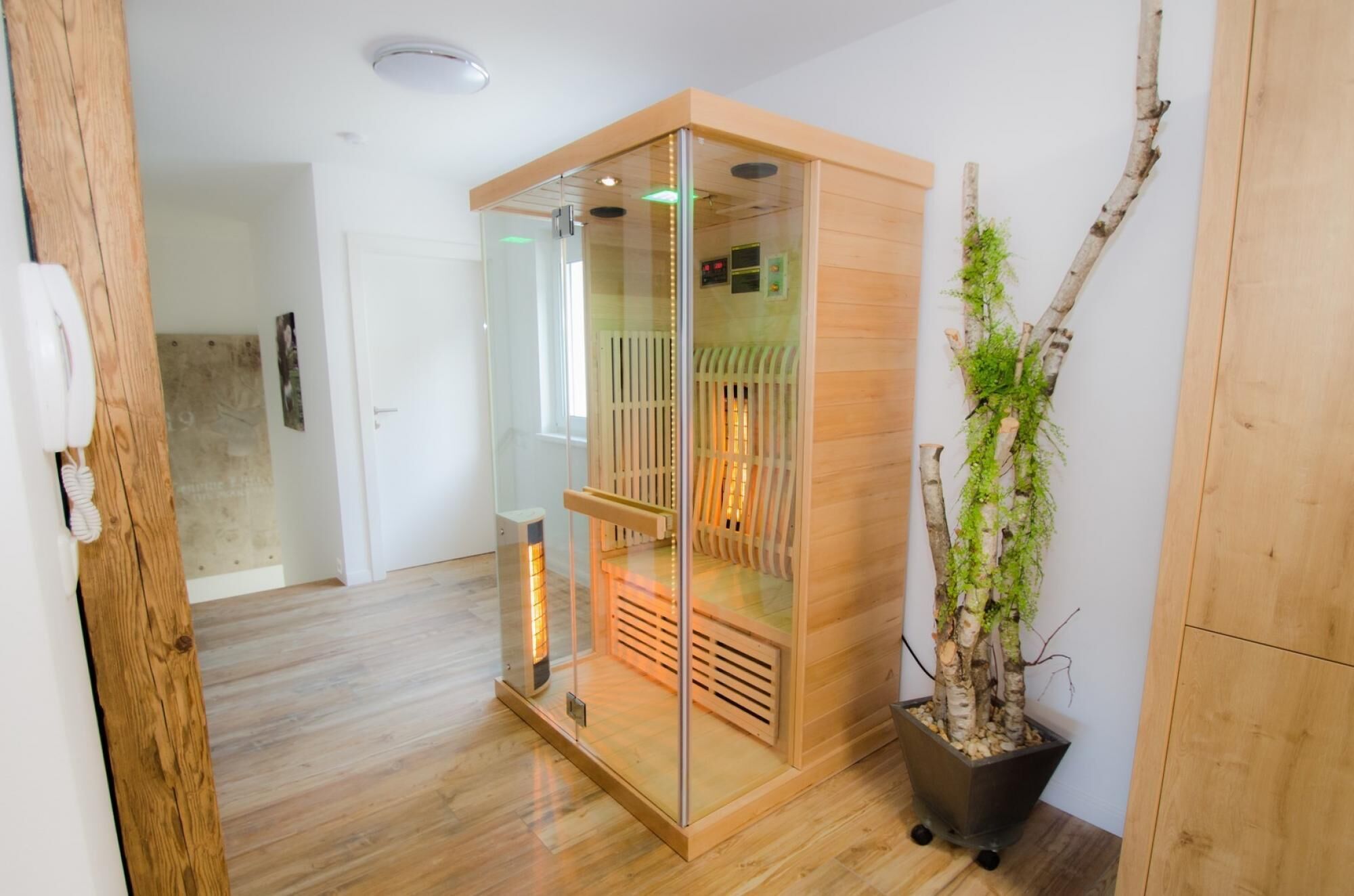 Moderni huone, jossa on lasiseinäinen sauna, puulattia, ruukussa oleva kasvi ja puinen vaatekaappi.