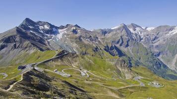 Apartment | 1 bedroom