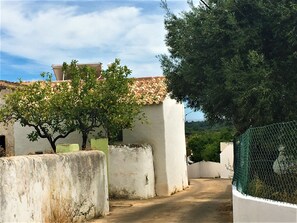 A narrow street with a white building, a tree with green leaves, and a fence.
