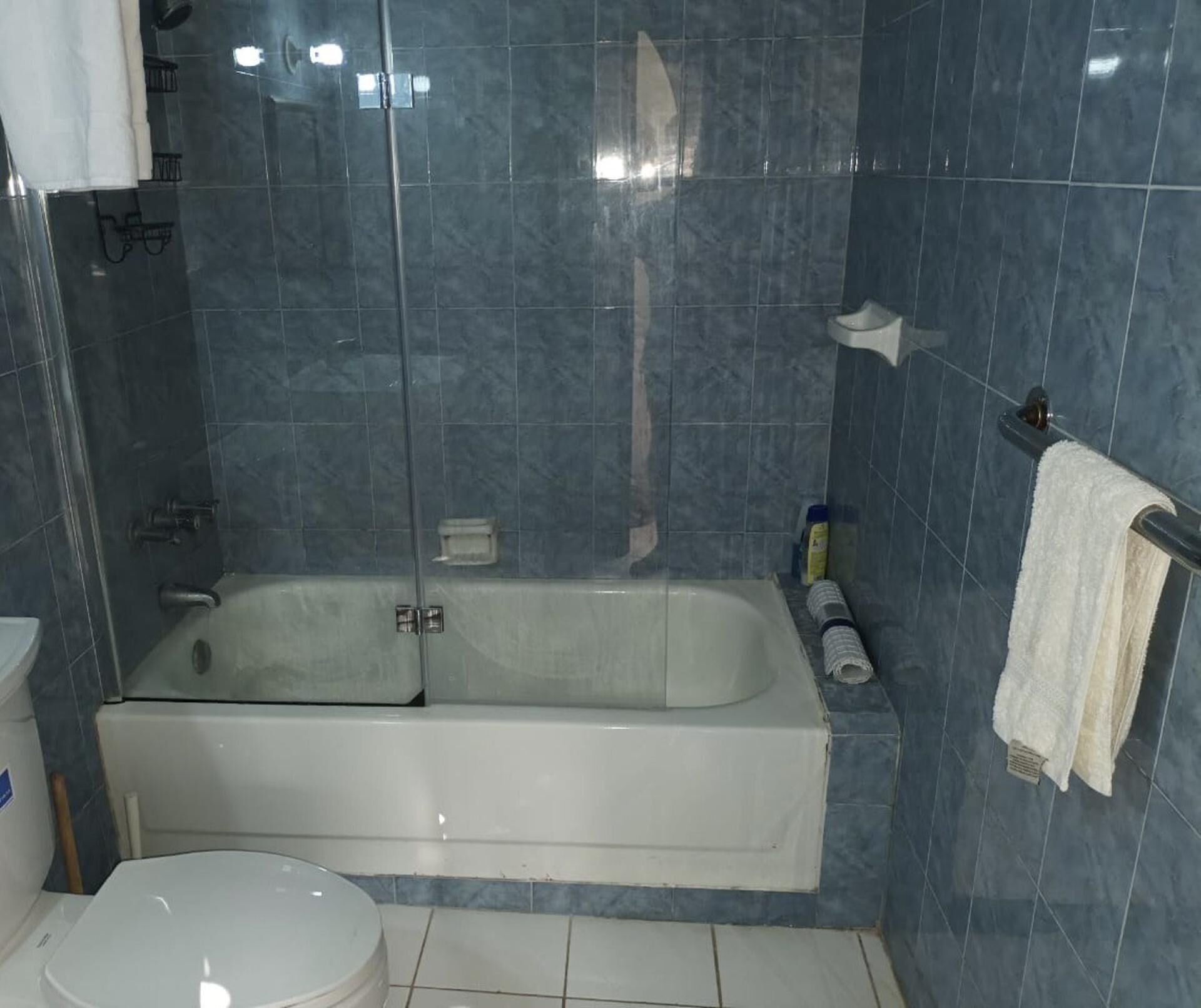 A bathroom with a bathtub, toilet, and shower area.