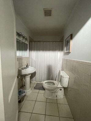 Combined shower/bathtub