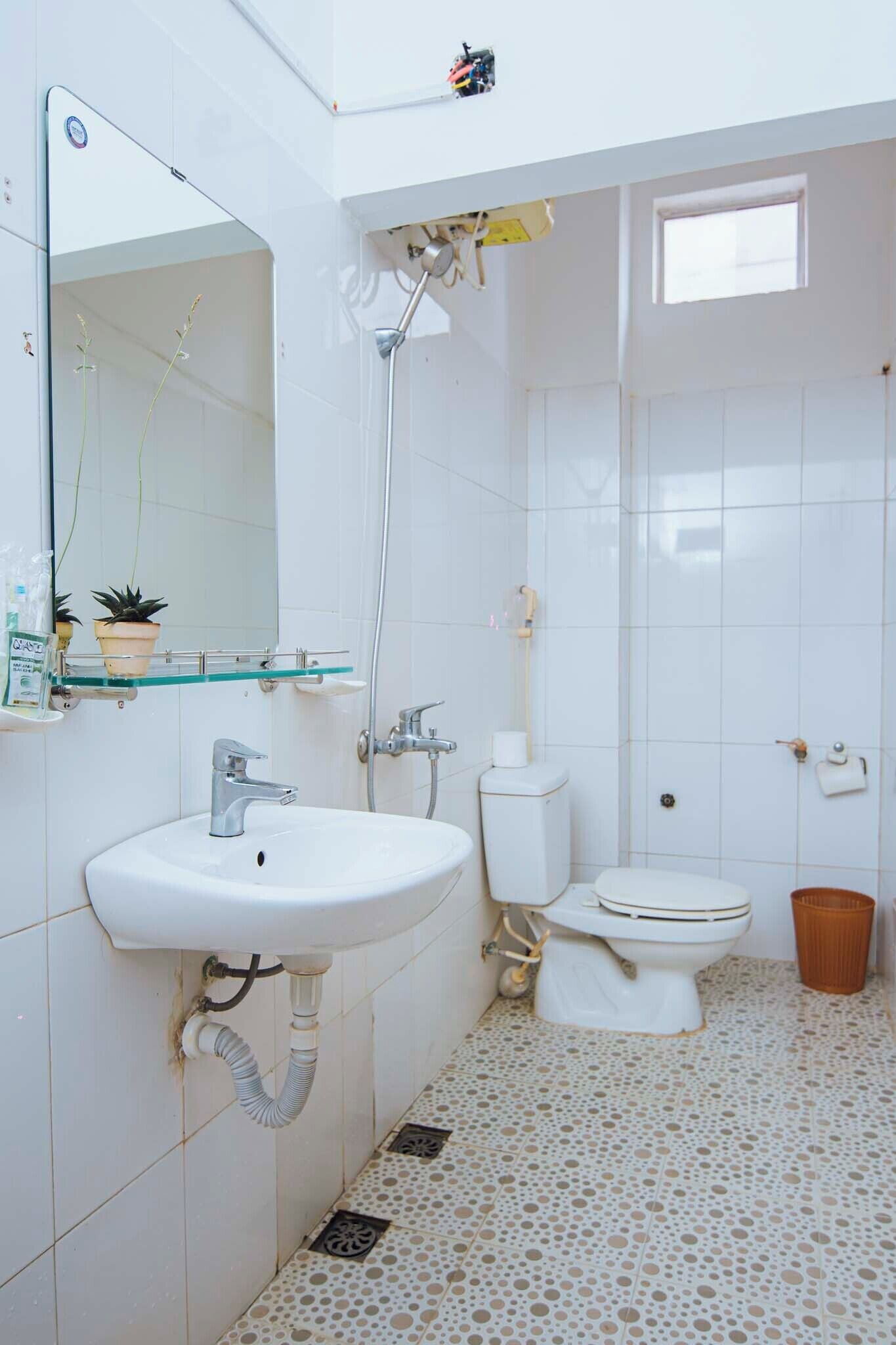 A bathroom with a white sink, toilet, and shower. There are potted plants on the wall and a trash bin on the floor.