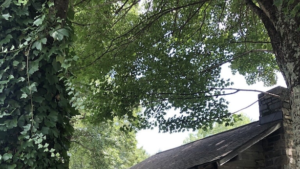 A rustic stone cabin with a wooden porch, two rocking chairs, and a small garden area. - Cabin 5 - Rustic cabin in Pioneer Village, Great Smoky Mountains NC (Maggie Valley)