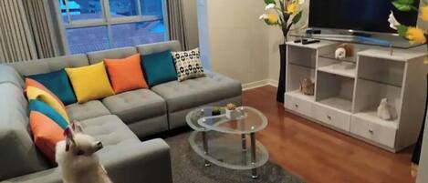 Smart TV, Netflix, streaming services