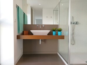 Combined shower/tub, hair dryer, bidet, towels