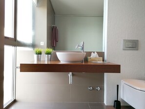 Combined shower/tub, hair dryer, bidet, towels