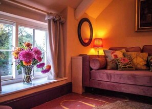 Fernseher, Kamin, Netflix, Bücher