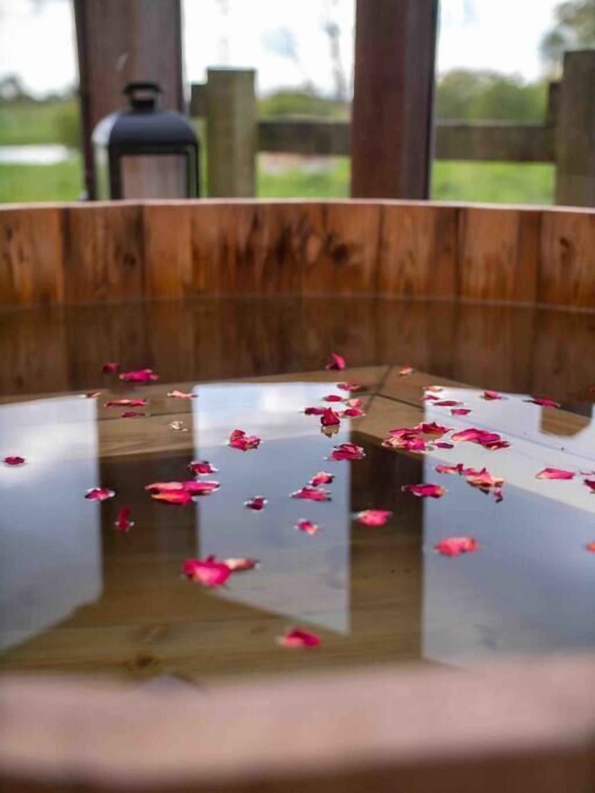 A wooden structure with a glass table reflecting pink petals.