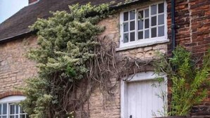 A traditional stone house with a white door and windows, surrounded by a garden with various potted plants and flowers. - Library Suite: Sleeps 4 (Scunthorpe)
