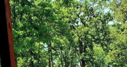 Completely renovated lakehouse with all the extras