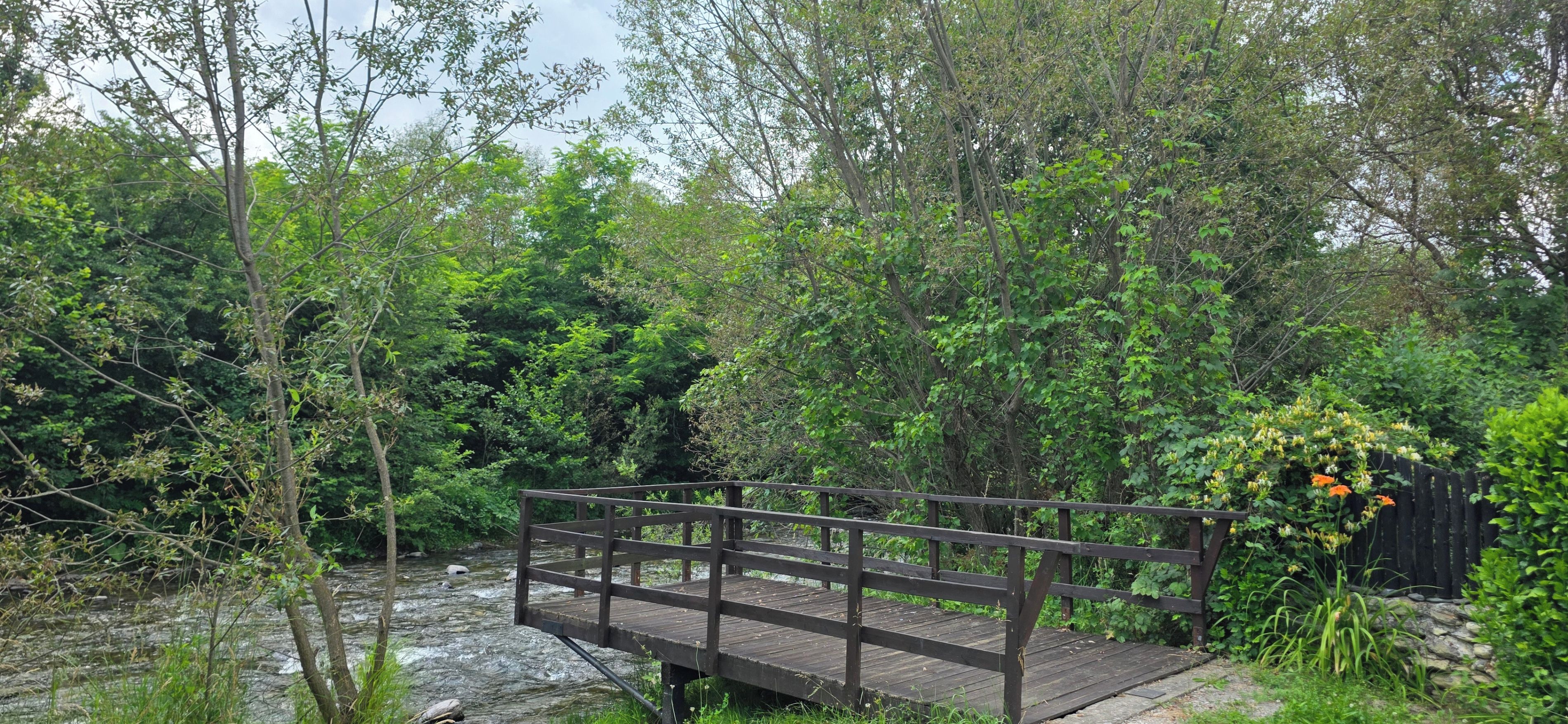 Khuôn viên nơi lưu trú