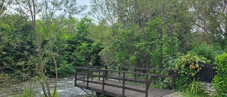 A wooden bridge over a stream in a forested area.