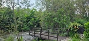 A wooden bridge over a stream in a forested area.