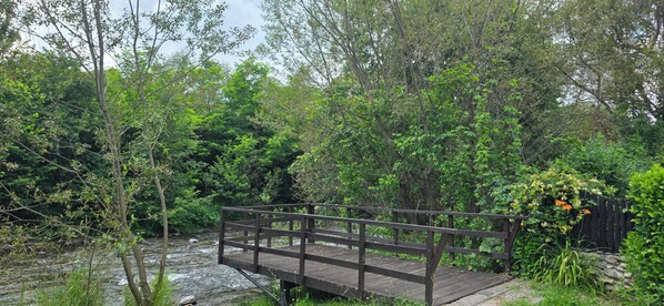 A wooden bridge over a stream in a forested area.
