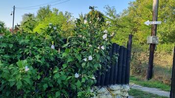 Cabin | Khuôn viên nơi lưu trú