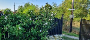 Cabaña | Áreas de la propiedad