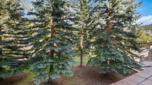 A landscaped area with several evergreen trees, a stone pathway, and a brick border. - The Charter at Beaver Creek G215 (Beaver Creek)
