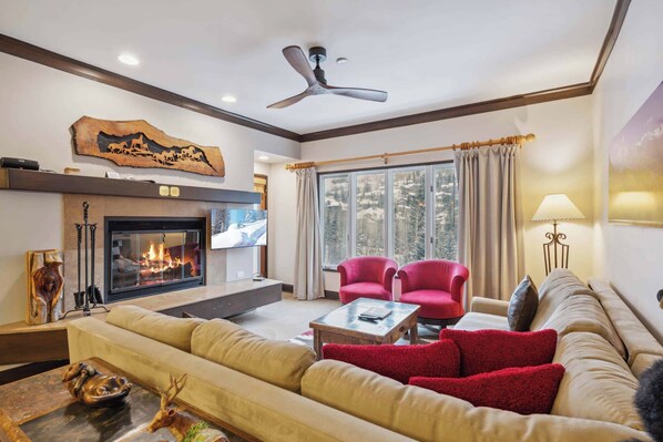 TV, fireplace