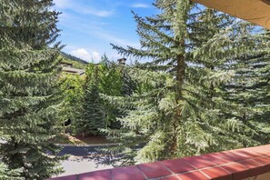 Blick auf einen Innenhof mit üppigen immergrünen Bäumen und blauem Himmel.
