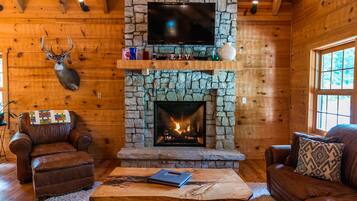 Smart TV, fireplace, DVD player, books
