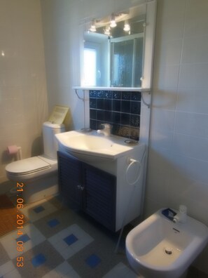 Een bad/douchecombinatie, een bidet
