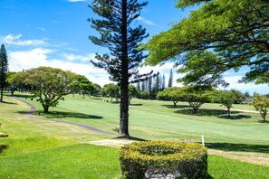 Un campo de golf bien cuidado con un sendero despejado, césped verde exuberante y diversos árboles.