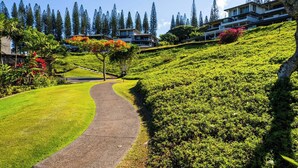 A pathway leading to a hillside with lush greenery and a row of modern buildings.