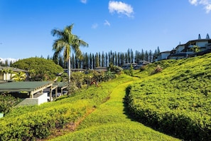 Property grounds - KBM Resorts | FREE CAR | Kapalua Golf Villa | Golf Course view | Gorgeous 2-Bedroom Condo! KGV-14V3 (Lahaina)