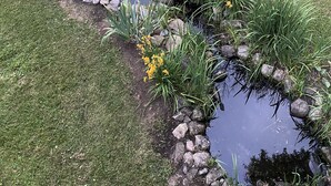 Un petit étang d’aspect naturel, bordé de rochers, entouré de pelouse bien entretenue et de plantes à fleurs.