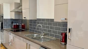 Apartment, 1 King Bed with Sofa bed | Private kitchen | Fridge, microwave, oven, stovetop