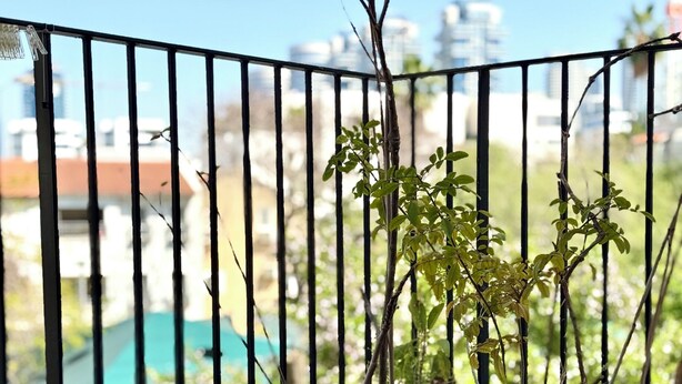A balcony with a view of buildings, a table with two cups, and potted plants. - Lovely 1-bedroom apartment in The best location (Tel Aviv-Yafo)