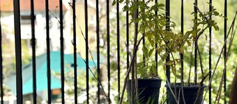 Lovely 1-bedroom apartment in The best location