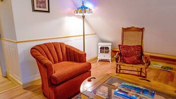 Smart TV, fireplace, books