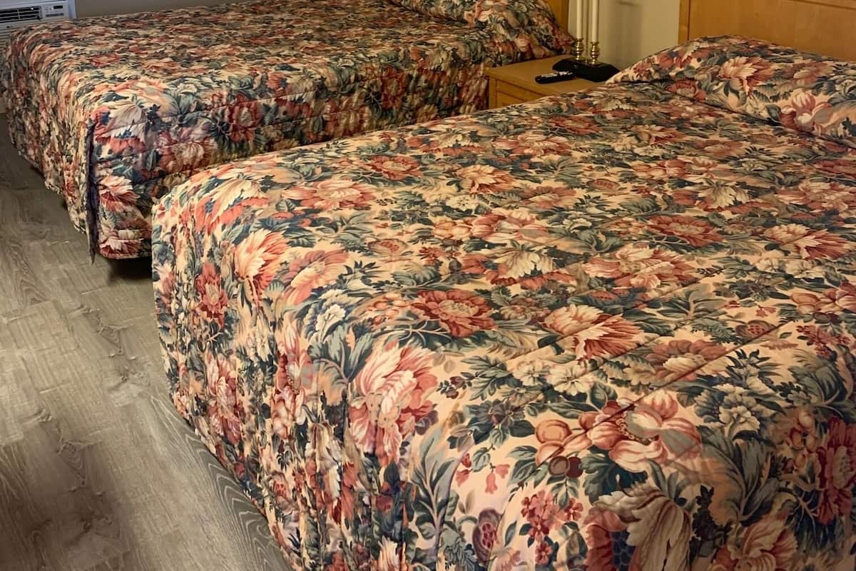 Basic Double or Twin Room | Free WiFi