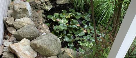 المنطقة المحيطة بالمنشأة