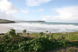 A coastal landscape with a beach, ocean waves, and greenery in the foreground.