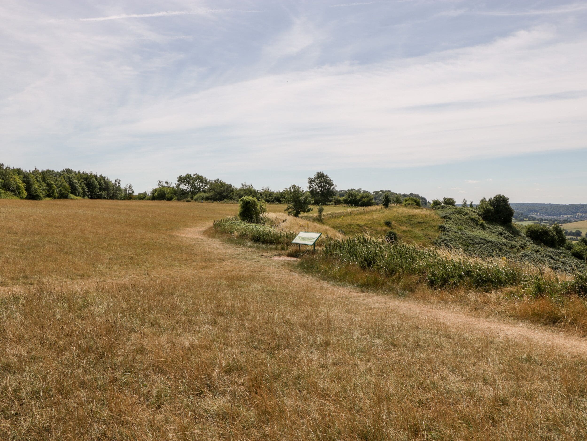 A grassy field with a dirt path leading to a sign.
