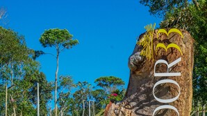 A tree trunk with the word "PARADISO" carved into it, located beside a road with a clear blue sky and trees in the background. - Pousada Parador 33 (Biguacu)