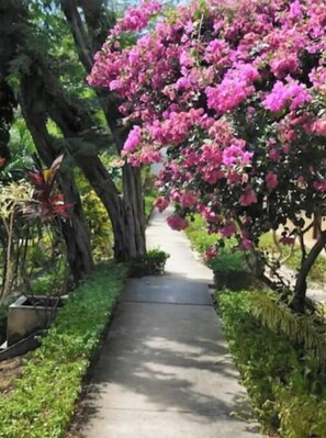 Terrein van de accommodatie