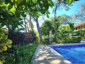 Outdoor pool - Economical Sweet Dreams #7 (Ocotal)