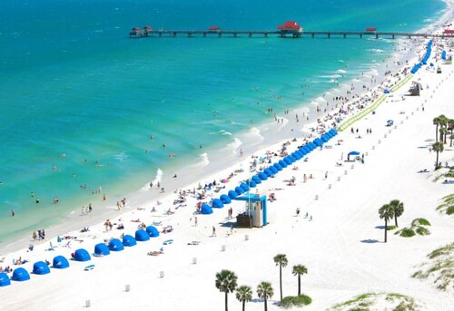 Twin Palms Oasis | King Suites, Florida Room & Near Gulf Beaches