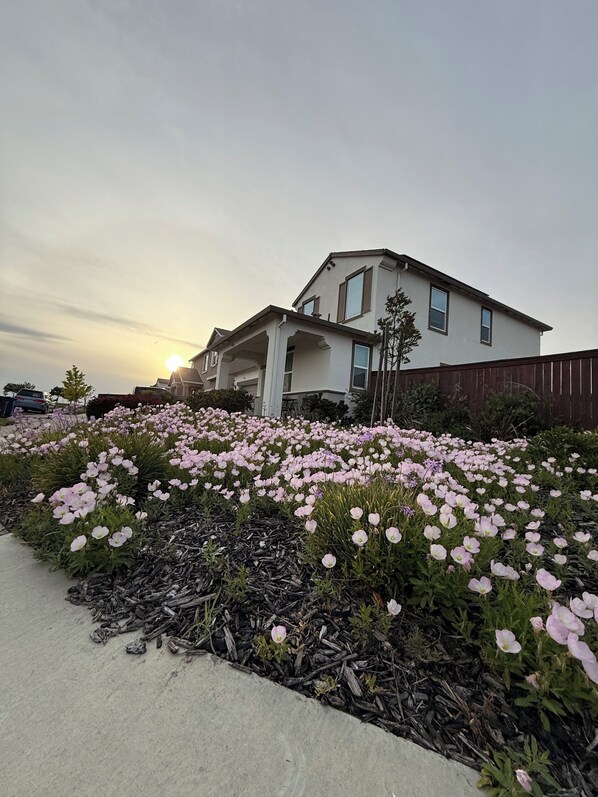 Ein Wohngebiet mit einem Haus, einer Auffahrt und einem Blumenbeet mit rosa Blüten.