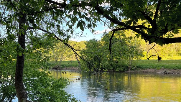 Eine Holzbrücke über einem ruhigen Fluss, umgeben von üppigem Grün und Bäumen.