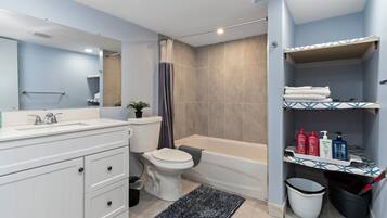 Combined shower/tub, hair dryer, towels, soap