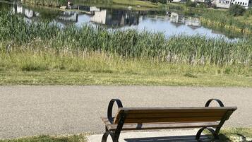 A bench by a calm pond with a grassy area and houses in the background.