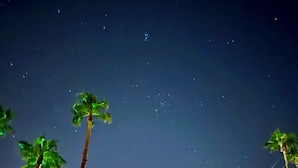 Cielo notturno stellato, palme e una recinzione di legno.