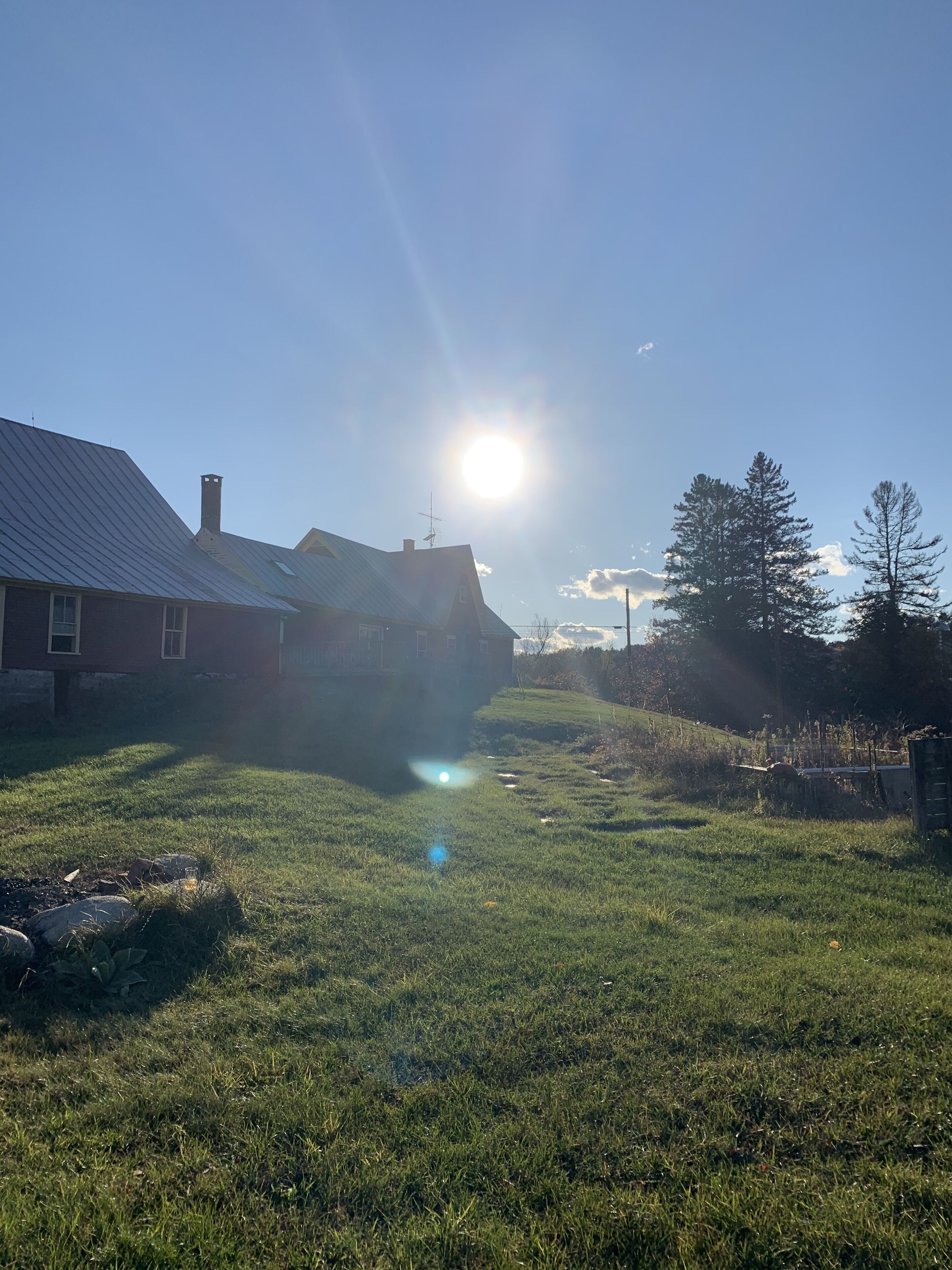 Overnattingsstedets uteområder