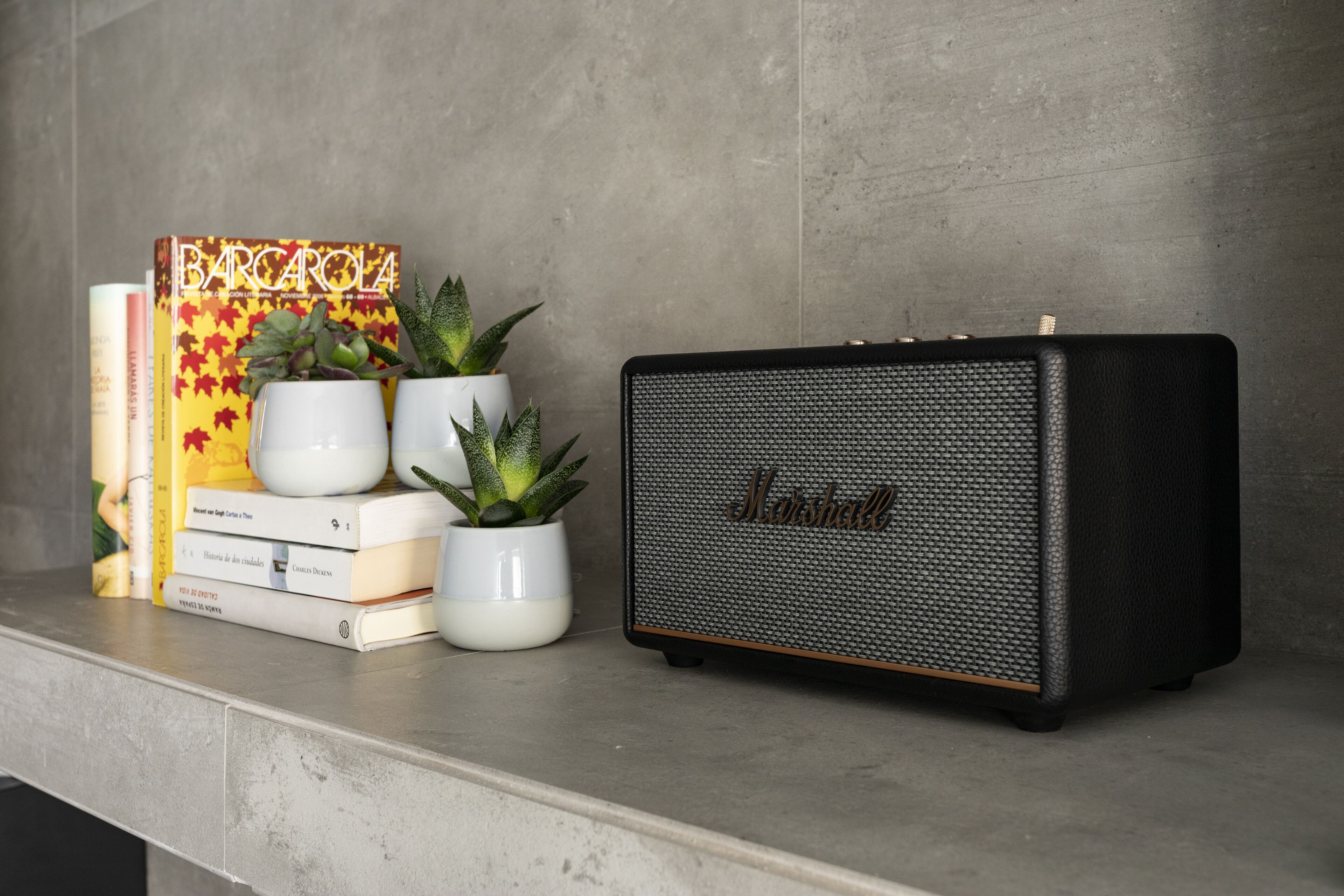 Foto - ICON Duplo Ribeira