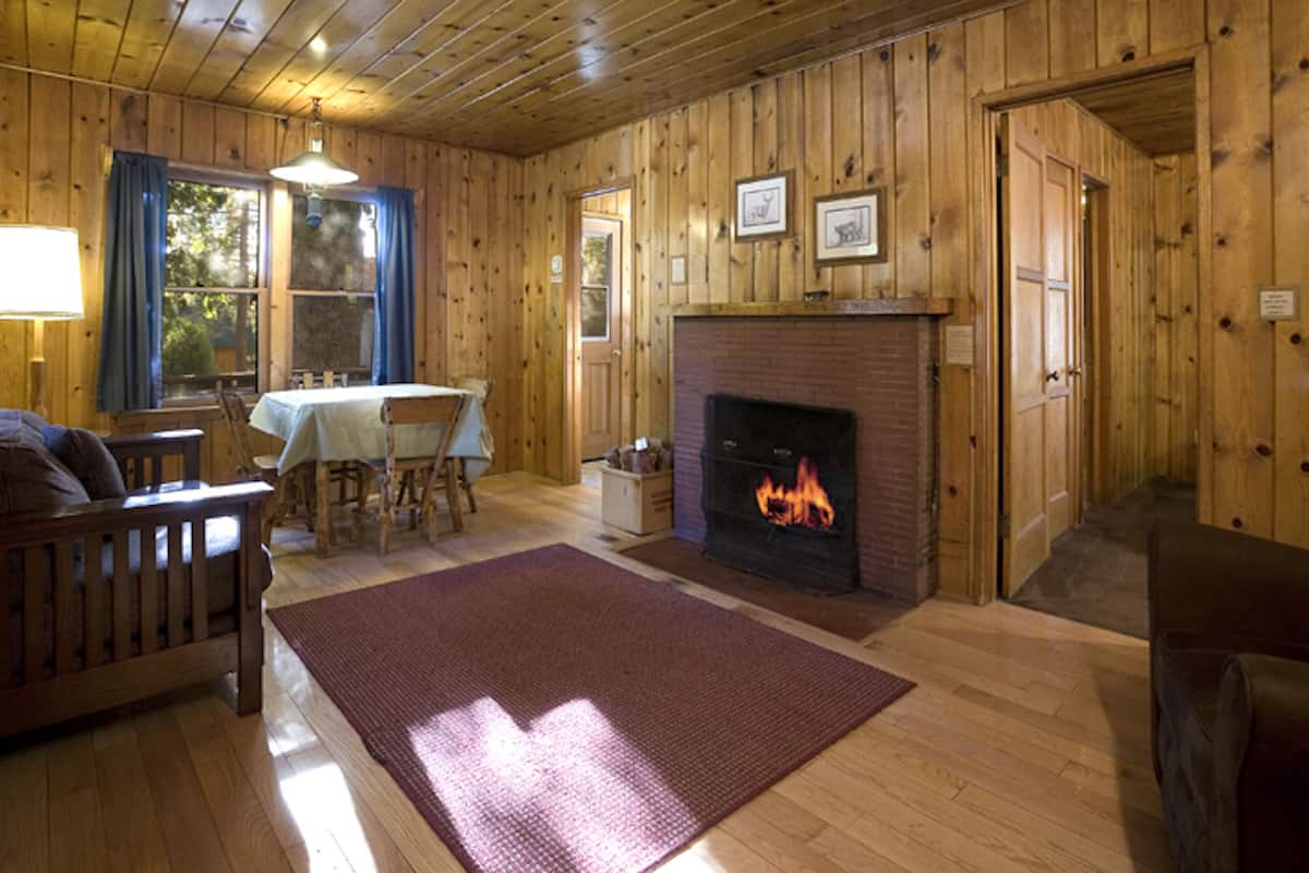 A cozy cabin interior with a fireplace, wooden walls, a dining area, and a large rug.