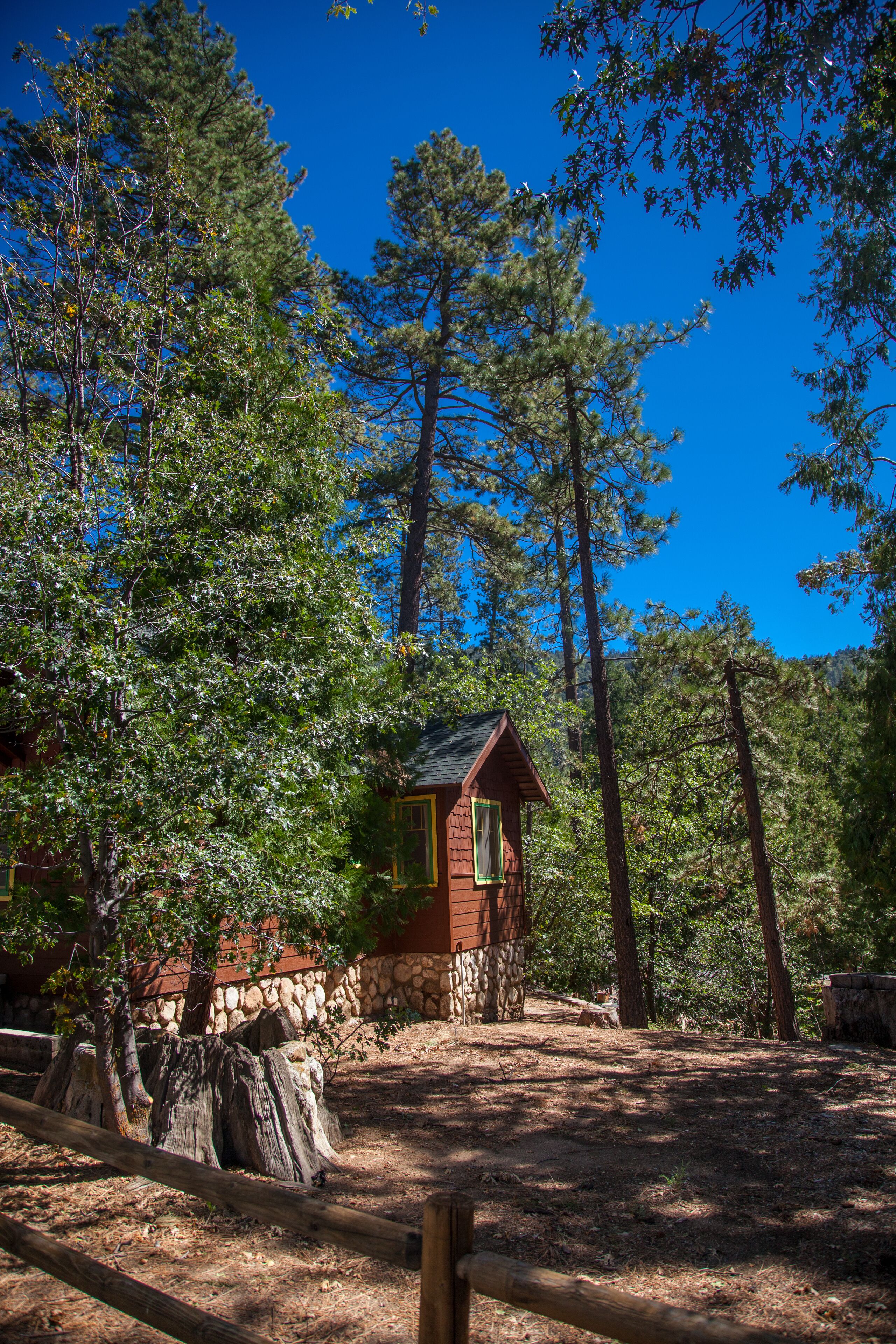 A rustic cabin surrounded by tall pine trees, with a stone wall and wooden fence in the foreground.